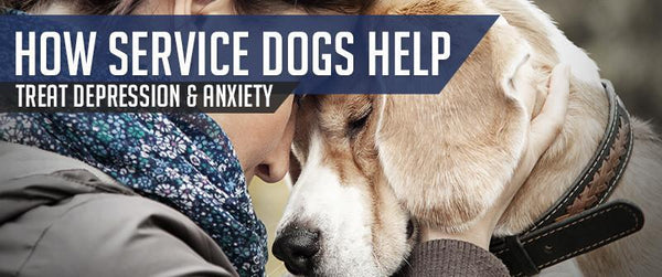 Service dogs for hot sale anxiety and depression