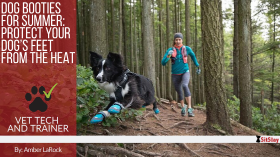 Dog booties to protect from heat new arrivals