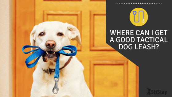 Kevlar sales dog leash