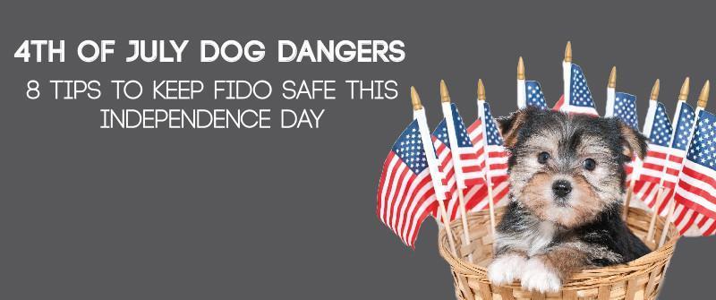 8 Tips to Keep Fido Safe this Independence day