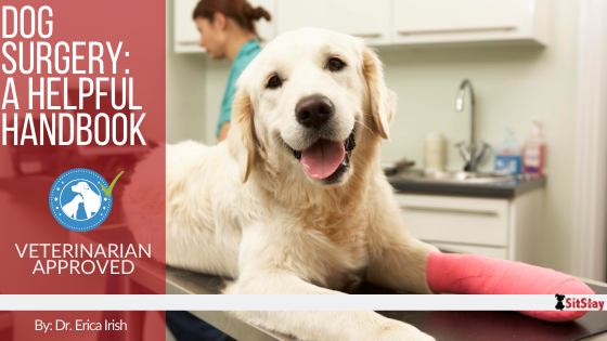 Dog Surgery: A Helpful Handbook