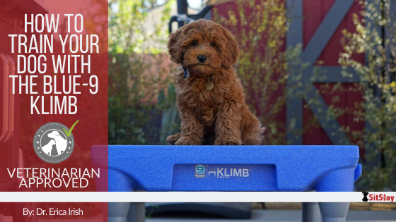 How to Train Your Dog with the Blue-9 KLIMB