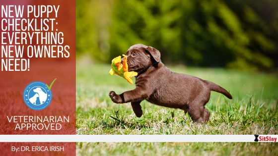 New Puppy Checklist: Everything New Owners Need!