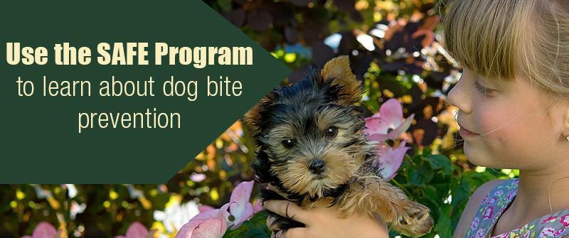 Use the SAFE Program to learn about dog bite prevention