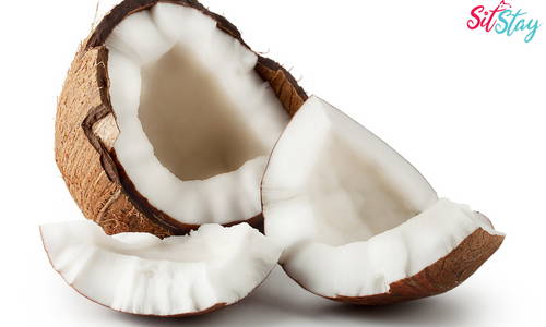 Coconut Oil for Dogs - The Ultimate Guide 2022