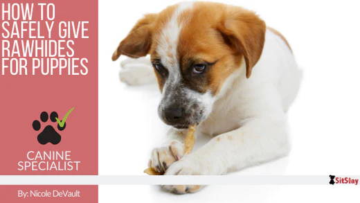 How to Safely Give Rawhides for Puppies