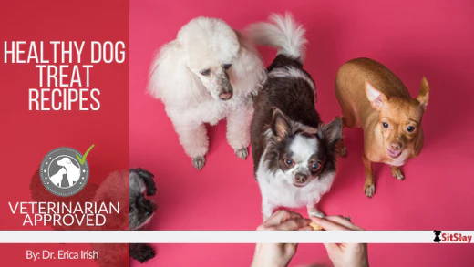 Healthy Dog Treat Recipes