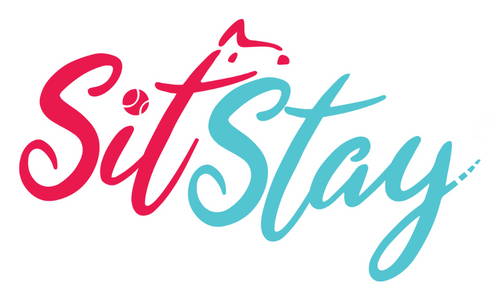Discover the Pioneering Pet Blog at SitStay.com: Your One-Stop Destination for All Things Dog!