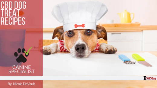 CBD Dog Treat Recipes