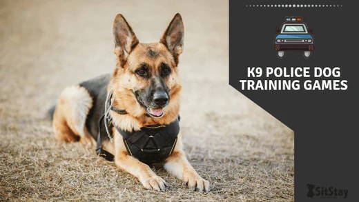 K9 Police Dog Training Games