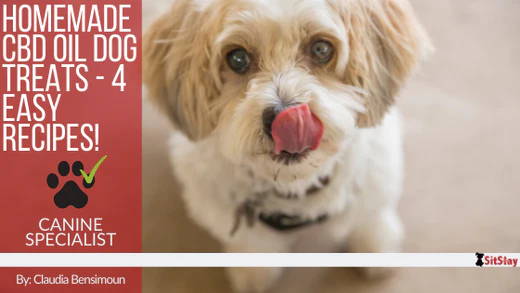 Homemade CBD Oil Dog Treats - 4 Easy Recipes!