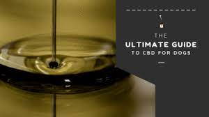 What is CBD for Dogs? The Ultimate Guide to Hemp and CBD Oil for Dogs