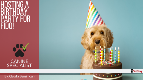 Hosting a Birthday Party for Fido!