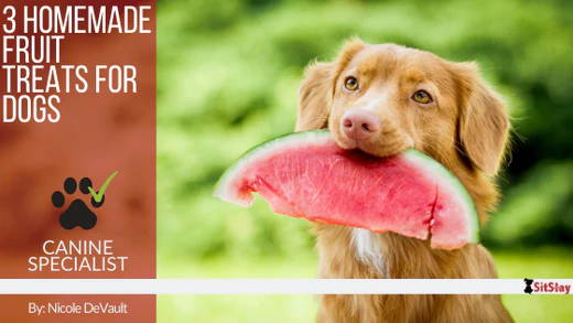 3 Homemade Fruit Treats for Dogs