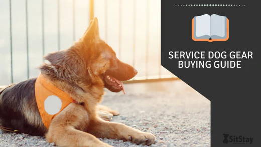 Service Dog Gear Buying Guide