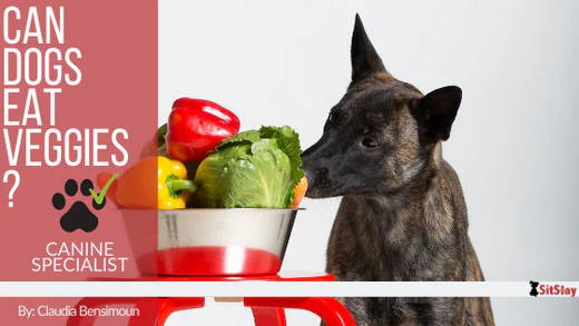 Vegetables Dogs Can’t Eat
