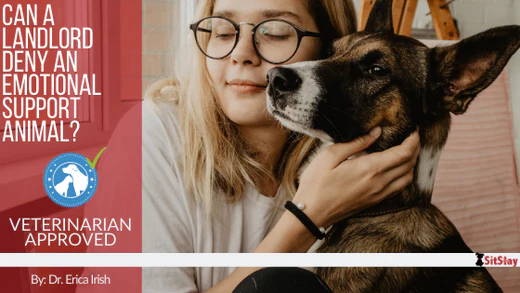 Can a Landlord Deny an Emotional Support Animal?