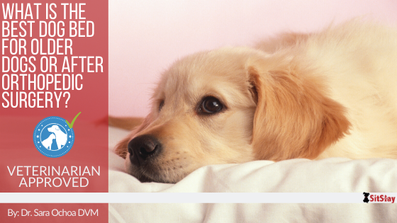 What is the Best Dog Bed for Older Dogs or After Orthopedic Surgery?