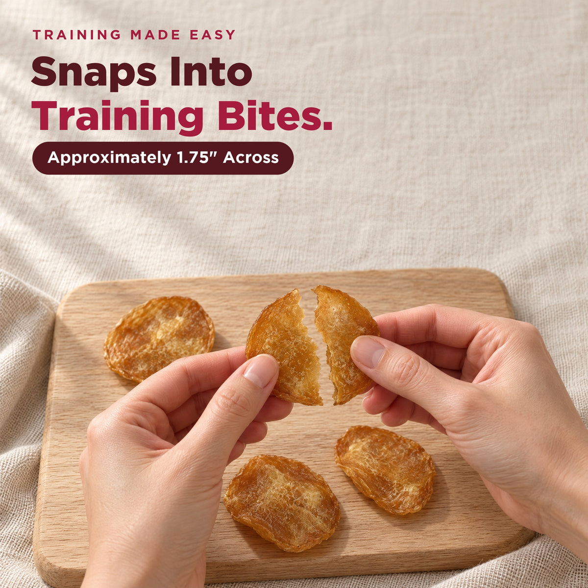Chicken chip snapped into small training bites (AI-generated person)