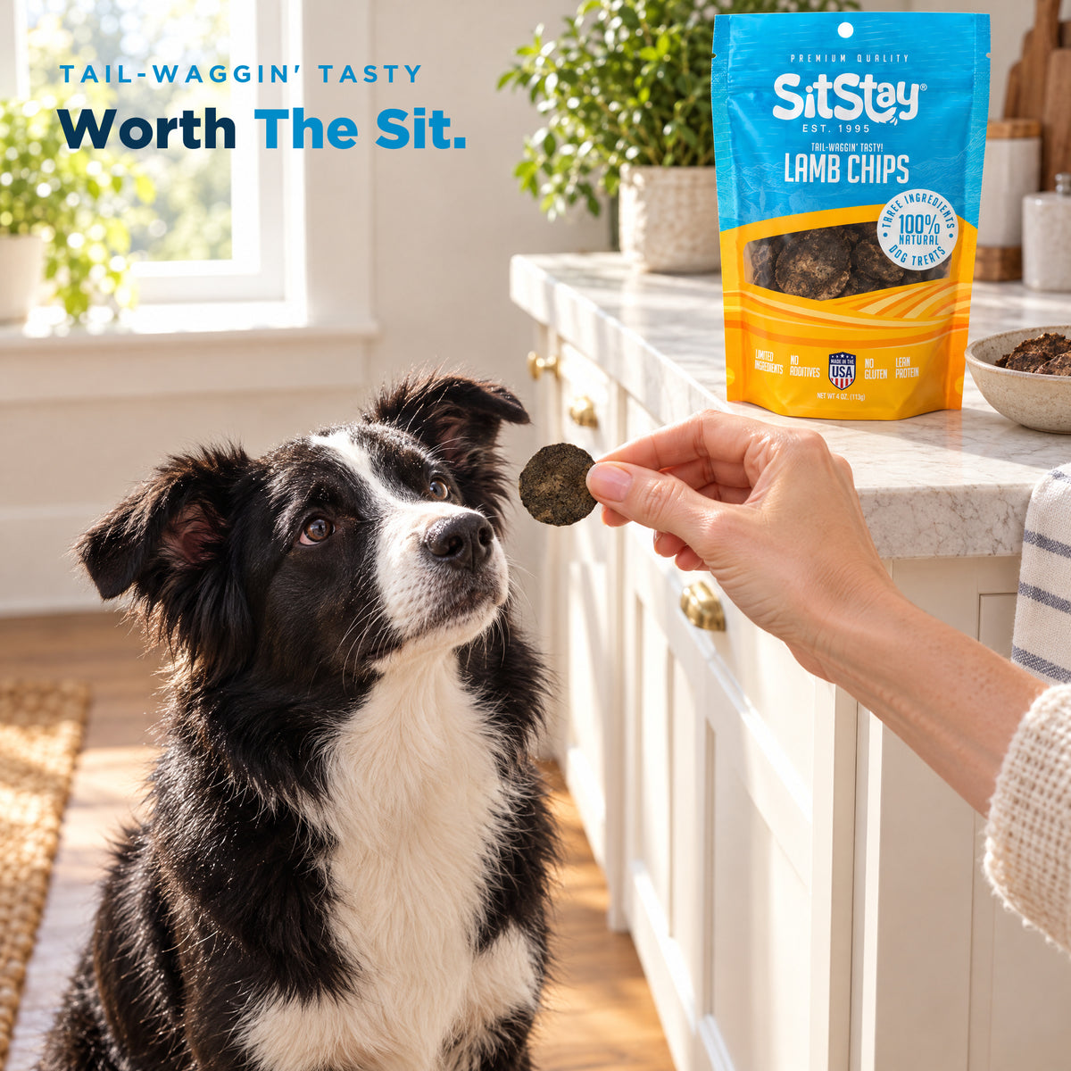Dog sitting for a SitStay Lamb Chip reward (AI-generated person)