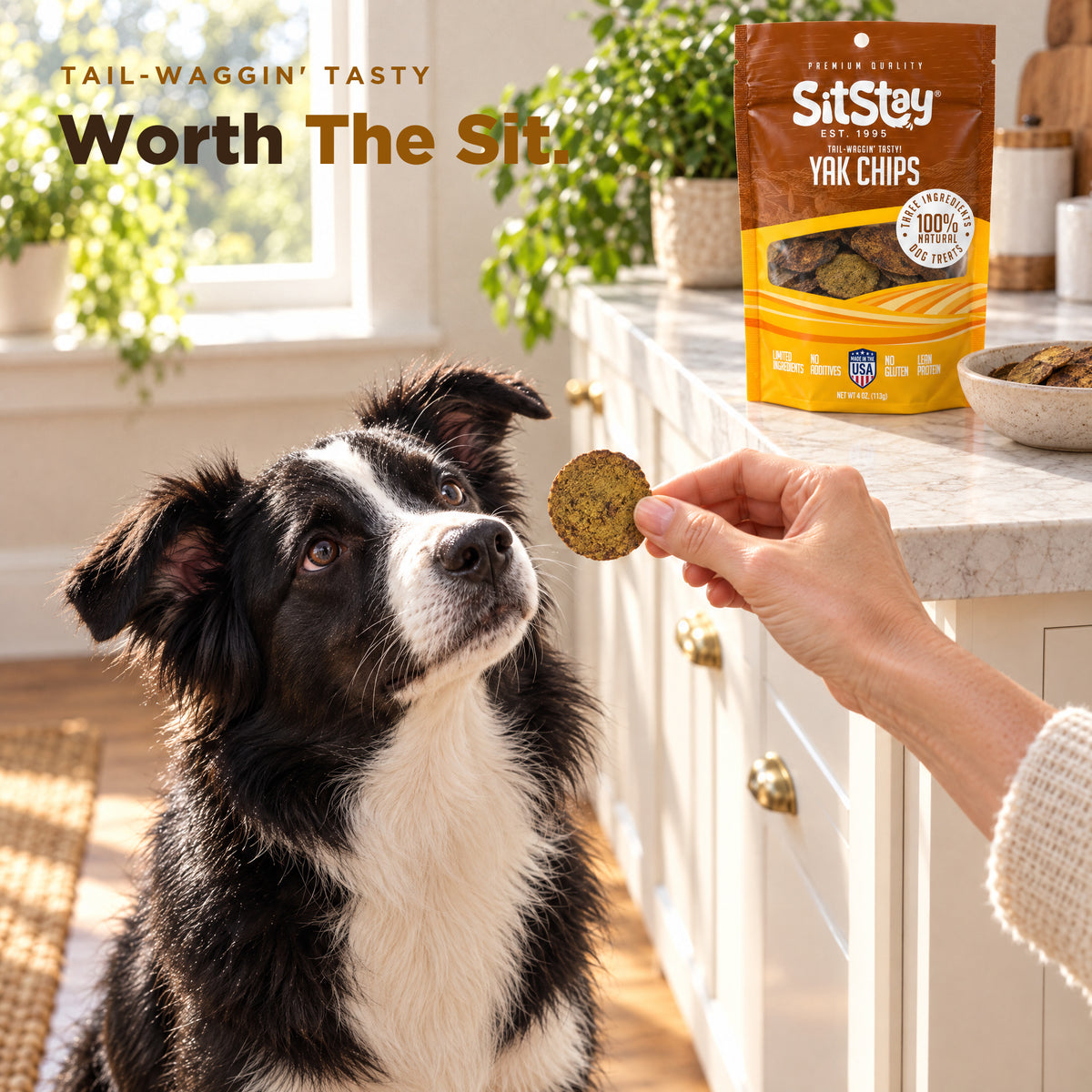 Dog sitting for a SitStay Yak Chip reward (AI-generated person)